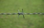 Barbed Wire Stock Photo