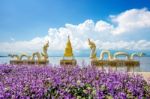 Kwan Phayao (phayao Lake) Is Popular Natural Attraction In Phayao. Landmark Of Phayao In Thailand Stock Photo