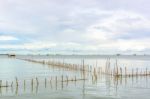 Landscape Fishing Cottage In Sea  Stock Photo