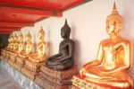 Row Of Golden Buddha Statue (selective Focused) Stock Photo