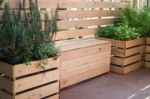 Freshly Aroma Herbs Growing In The Garden Stock Photo