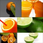 Citrus Fruits Collage Stock Photo