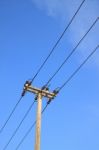 Electric Pole Stock Photo