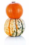 Halloween Orange And Mottled Pumpkins Isolated On White Backgrou Stock Photo