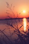 Close Up Grass With A Sunset Over A Lake In The Background Stock Photo