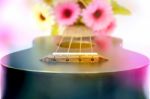 Ukulele With Colorful Flower Stock Photo