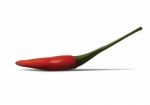 Red Hot Chili Stock Photo