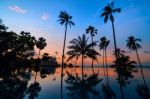 Tall Coconut Palm Trees At Twilight Sky Reflected In Water Stock Photo