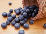 Blueberry Stock Photo