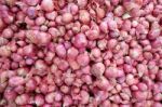 Red Onions Stock Photo