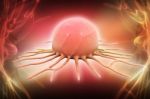 Cancer Cell Stock Photo