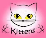 Kittens Word Means Domestic Cat And Cats Stock Photo