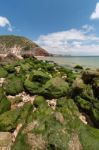 Isolated Beach Stock Photo