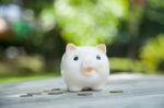 Piggy Bank Stock Photo