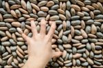 Hand On Stone Wall Stock Photo