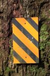 Warning Plate On Bark Beside Road Stock Photo