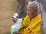 An Unidentified Old Buddhist Female Monk Dressed In Yellow Toga Stock Photo