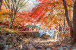 Naejangsan National Park In Autumn,south Korea Stock Photo