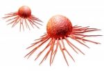 Cancer Cell Stock Photo