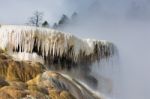 Mammoth Hot Springs Stock Photo