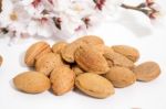 Almond Tree Branch And Almonds Stock Photo