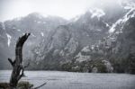 Cradle Mountain In Tasmania Stock Photo