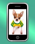 Chihuahua Dog On Mobile Phone Stock Photo