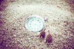 Vintage Pocket Watch On Sand With Pine Nuts Stock Photo