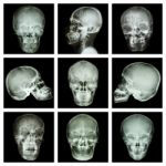 Collection Of Asian Skull Stock Photo