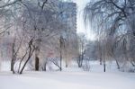 Sunny Winter City. Snow-covered Urban Scene Stock Photo