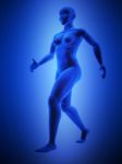 Female Human Body Stock Photo