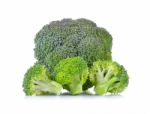 Fresh Broccoli Isolated On White Background Stock Photo