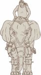 War Elephant Mahout Rider Drawing Stock Photo
