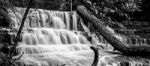 Liffey Falls In The Midlands Region, Tasmania Stock Photo