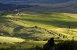 Gladiator Fields In Val D'orcia Tuscany Stock Photo