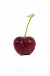 Red Cherry Stock Photo