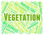 Vegetation Word Indicates Plant Life And Botanical Stock Photo