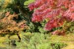 Colourful Autumn Garden Stock Photo