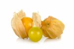 Physalis Fruit Isolated On The White Background Stock Photo