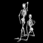 Skeleton Stock Photo