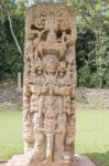 Carved Stones At The  Mayan Ruins In Copan Ruinas, Honduras Stock Photo