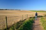 Traveler Is Walking On Country Road Stock Photo