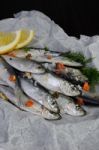 Salted Sprats Stock Photo