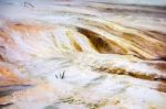 View Of Mammoth Hot Springs Stock Photo