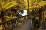 Horseshoe Falls In Mount Field National Park Stock Photo