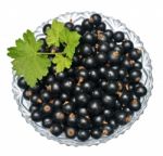 Blackcurrant Stock Photo