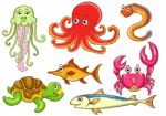 Aquatic Animals Stock Photo