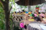 Primary Students Visit The Zoo, In The Jul 27, 2016. Bangkok Thailand Stock Photo