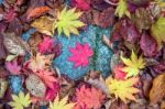 Maple In Autumn In Korea Stock Photo