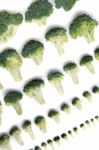 Bunch Of Broccoli Vegetables Aligned In A Perfect Way Stock Photo